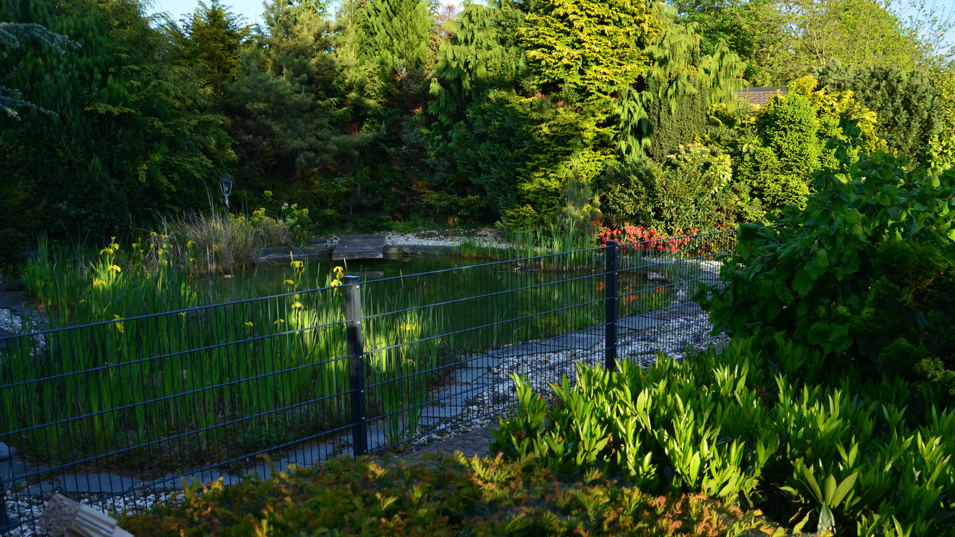 Gartenteich im Grünen